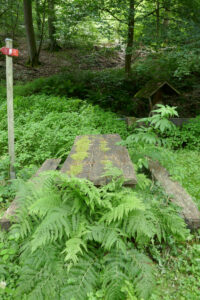 farnüberwucherte Rastbank im Wald