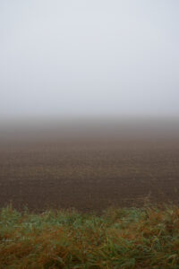 Blick über Felder in den Nebel